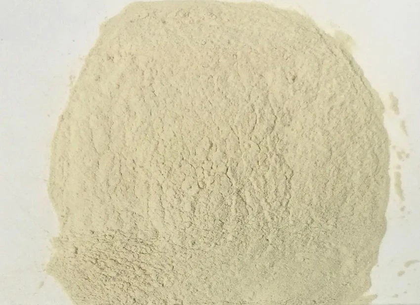 Bacillus Coagulans Probiotic Bacillus Coagulans Probiotic