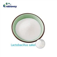 لاکتوباسیلوس ساکی بدون گلوتن