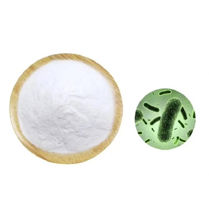 Lactobacillus acidophilus powder Lactobacillus acidophilus powder